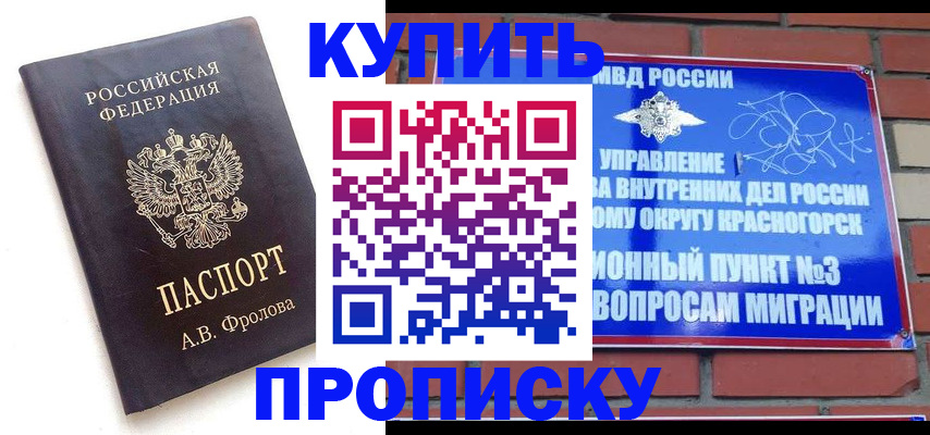 прописка поиск в Волоколамске